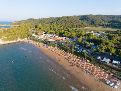 Holiday Village