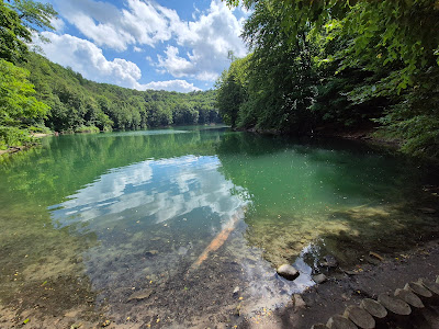 Bukowa Forest Landscape Park