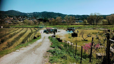 Merendero Can Quelet