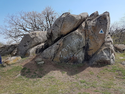 Vârful Țuțuiatu (467m)