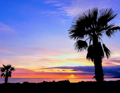 Palmeral del Toyo, Paseo Marítimo