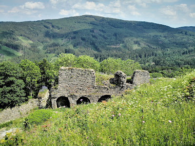 Tollenstein Castle Ruins