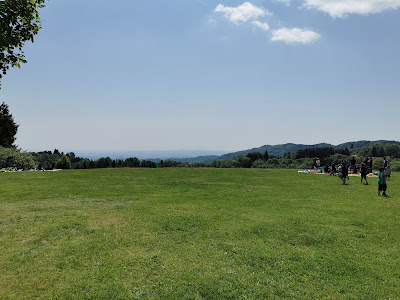 Area picnic