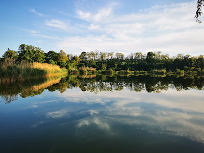 Fischertraum Nexing