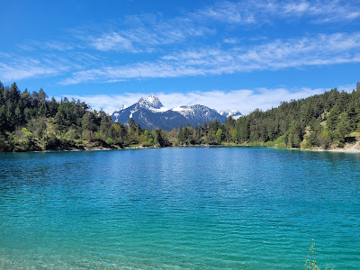 Urisee