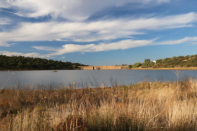 Parque Natural de Cornalvo