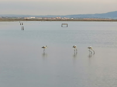 İzmir Kuş Cenneti Ziyaretçi Merkez