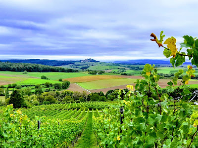 Weinlehrpfad