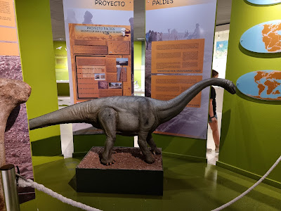 Museo Paleontológico de Elche