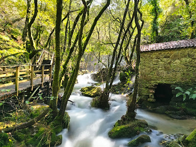 Fervenza de Raxoi