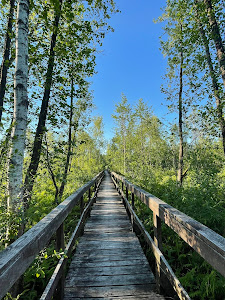 Nature trail "Spławy"