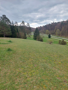 Suppenkopf
