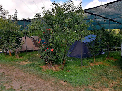 Oasi del Belvivere Camping Cinque Terre only tents
