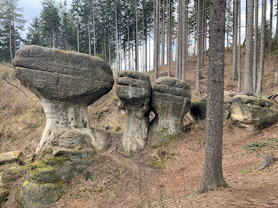 Nature reserve Boulders Dwarfs