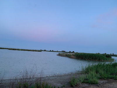 El Hondo