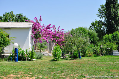 Camping Bacinska Jezera