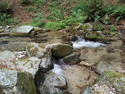 Oasi della Scialata