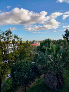 Mirador de Las Palmillas