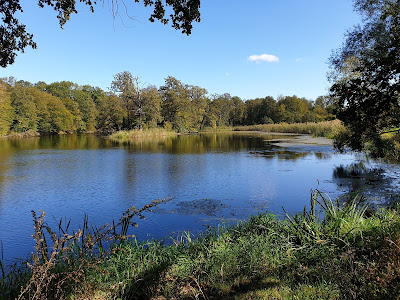 Jezioro Czarna Łacha
