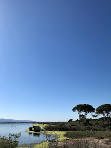 Παρατηρητήριο Δάσους Στροφυλιάς