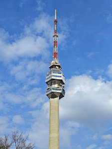Avala