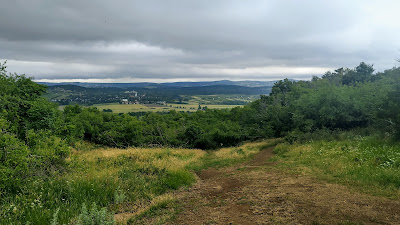 Panorámapont