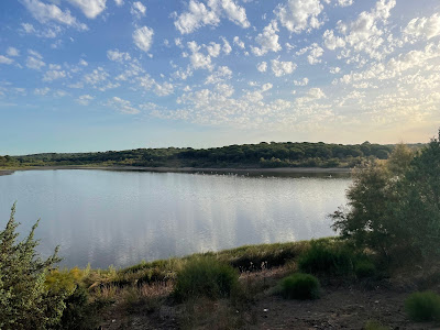 Laguna de El Portil