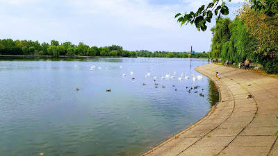 Parcul Fabrica de Gheață