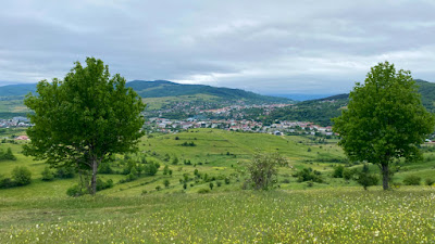 Belvedere Moinești