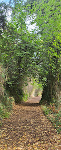 Inicio Sendero SL-A 368 "Los Molinos de Cortegana"