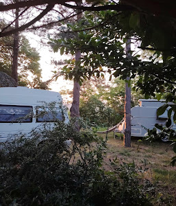 Camp na Fruškoj gori - Vidmar