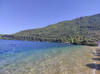 Παραλία Πόρτο Πεύκο