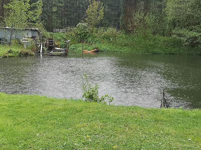 lampesanglerparadies