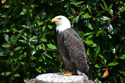 Zoo De Oliemeulen