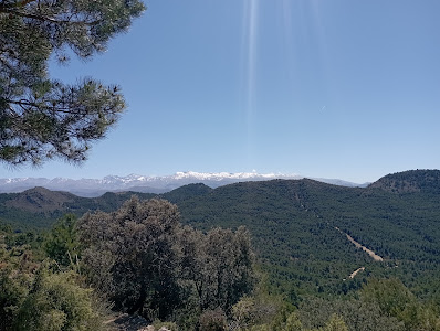 Sendero Del Sereno