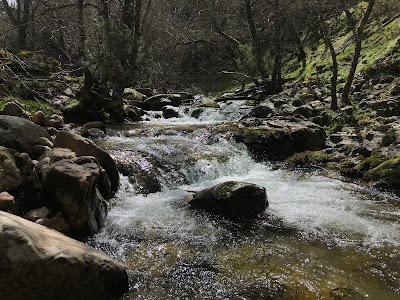 Salto Domingo