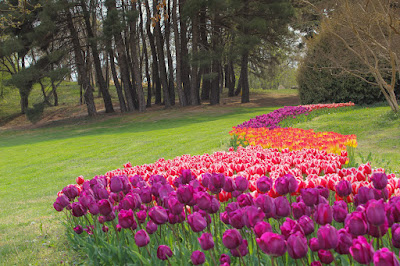 University Botanical Garden Ecopark Varna