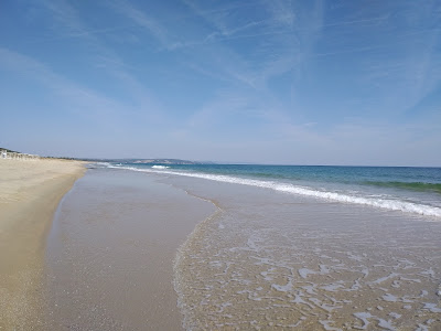 North Beach Shkorpilovci