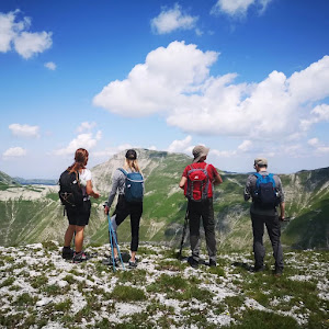 Live Trekking