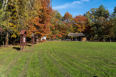Glade with recreational place