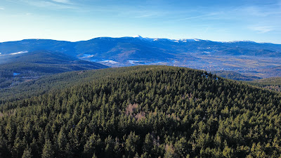 Skalnik