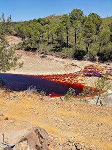 Río Tinto Mines Train