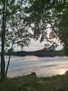 Dzika plaża