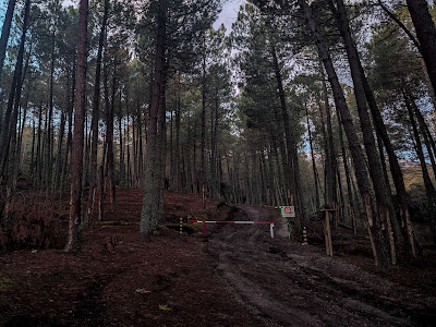 El Robledal