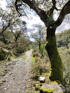 Sendero de los Molinos