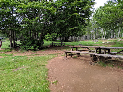 Area picnic Passo del Faiallo