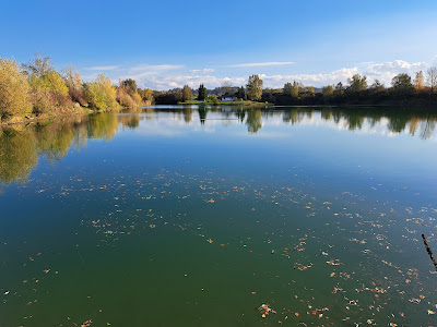 Teich Maria - Das Anglerparadies