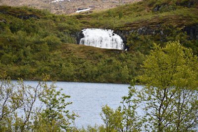 Rasteplass Holmevatnet