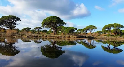 Strofylia National Park