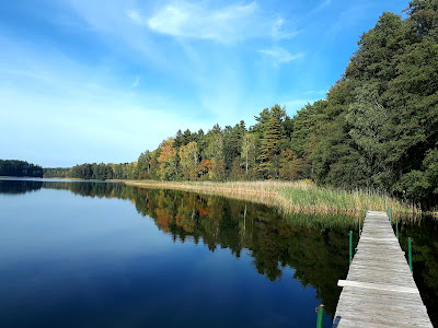 Dzika plaża